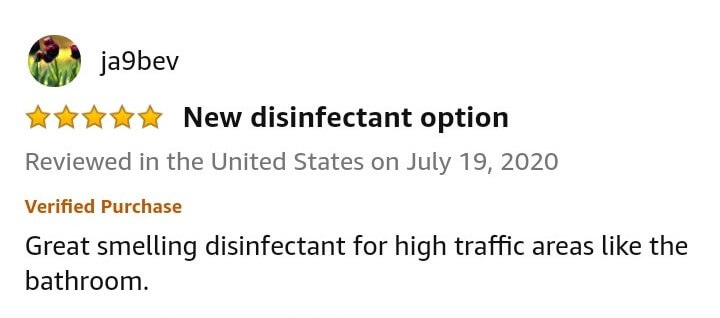 Gonzo Multipurpose disinfectant bleach for toenail fungus treatment review