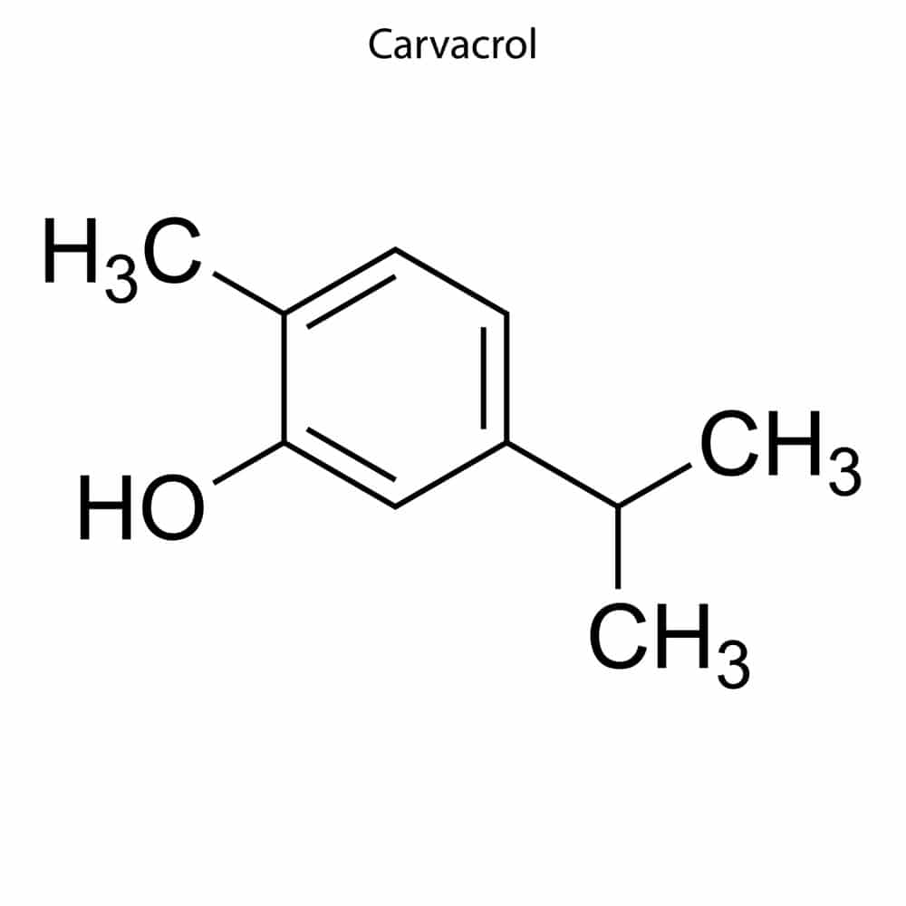 Carvacrol for nail fungus treatment from oregano oil Carvacrol for nail fungus treatment from oregano oil