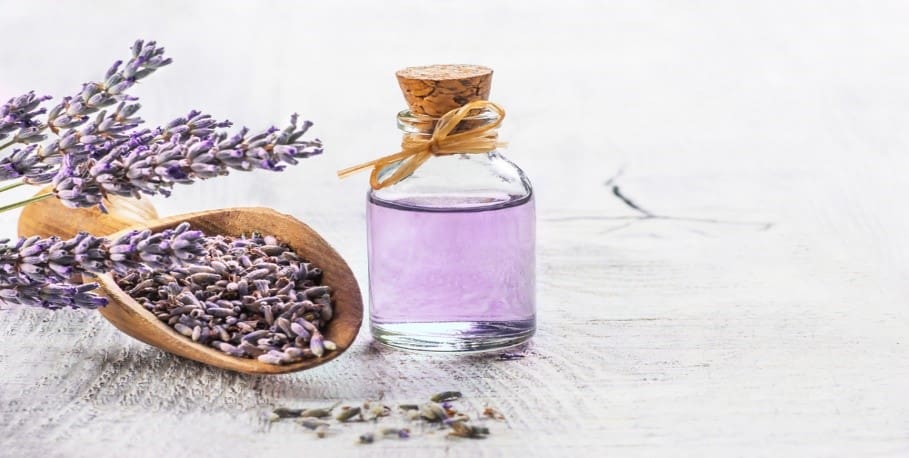 Lavender essential oil to the toenail fungus treatment
