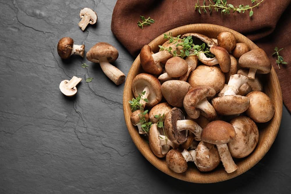 Japanese mushroom ingredient in Keravita pro for nail fungus Japanese mushroom ingredient in Keravita pro for nail fungus