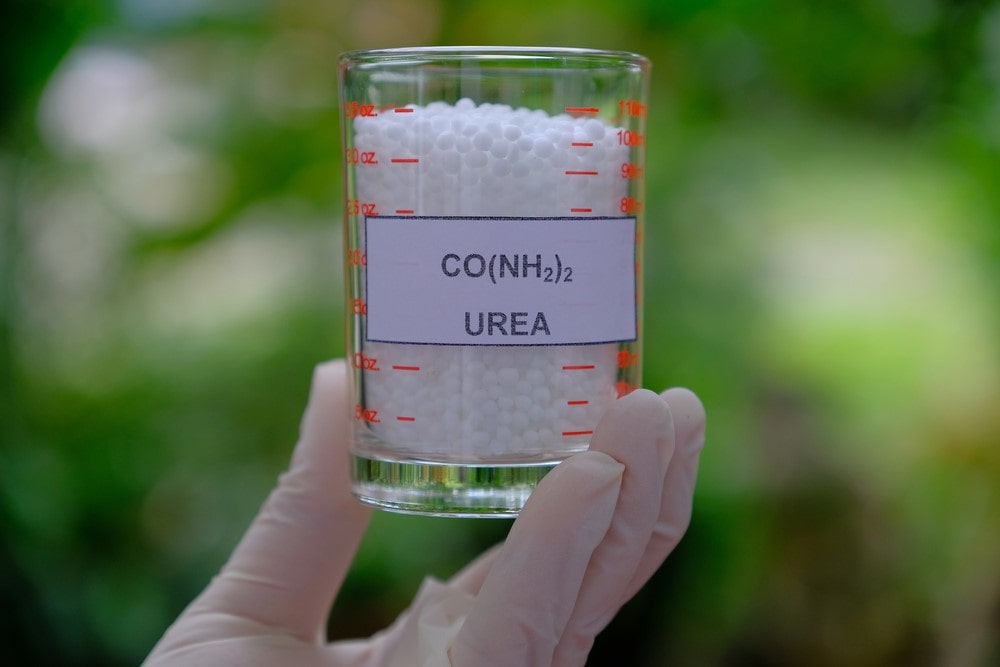 urea in kerasal fungal nail renewal urea in kerasal fungal nail renewal