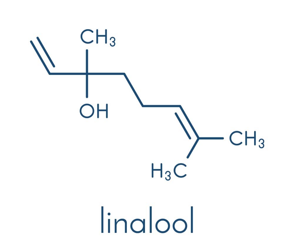 Linalool in tea tree oil for nail fungus Linalool in tea tree oil for toenail fungus