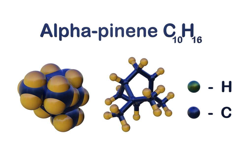 alpha pinene in tea tree oil for curing nails with fungus alpha pinene in tea tree oil for curing toenails with fungus